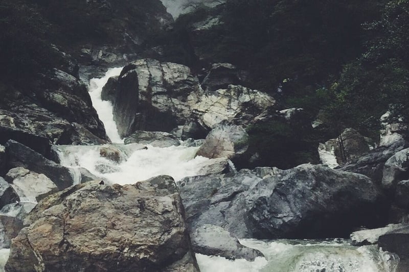 how to follow your dreams